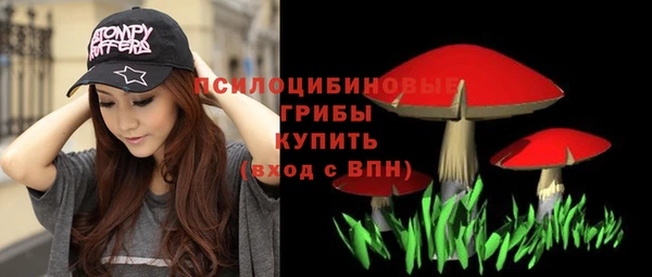мяу мяу кристалл Надым