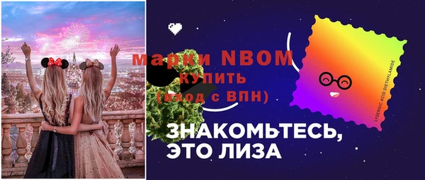 молекула духа Навашино