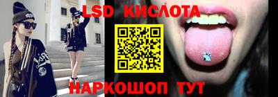 шишки Заволжье