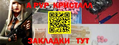 шишки Заволжье
