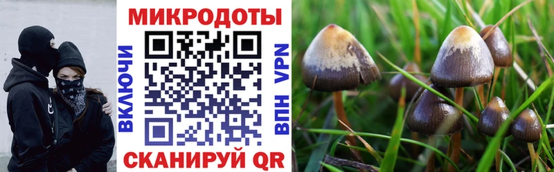 shop какой сайт  Лангепас  Галлюциногенные грибы Cubensis  как найти наркотики 