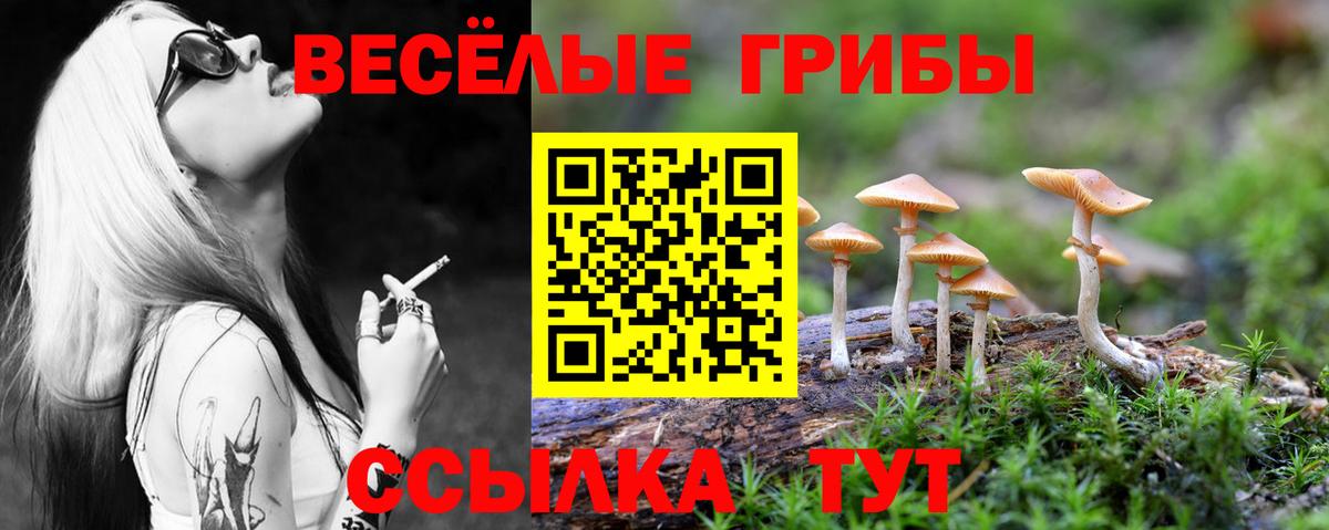 Псилоцибиновые грибы Magic Shrooms Лангепас