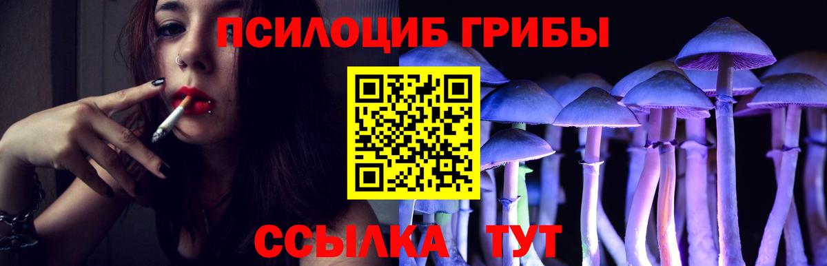 Лангепас  Псилоцибиновые грибы Psilocybe  Вход с VPN 